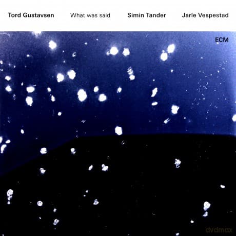 Tord Gustavsen: What Was Said