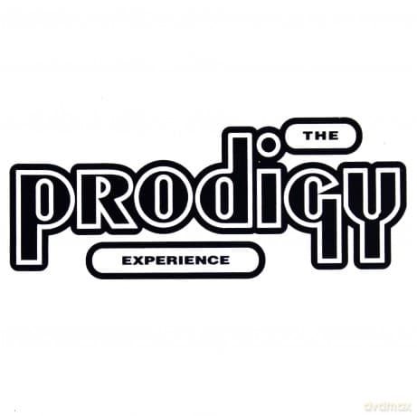 The Prodigy: Experience