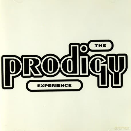 The Prodigy: Experience