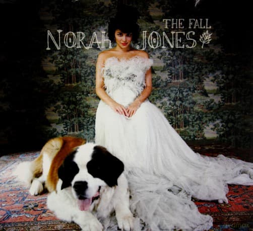 Norah Jones: The Fall (ecopack)