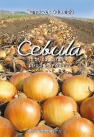 Cebula. Zbiór, dosuszanie,przechowywanie - Franciszek Adamicki