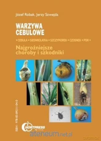 Warzywa cebulowe - Józef Robak, Jerzy Szwejda