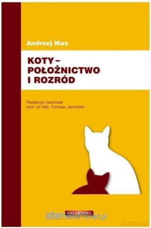 Koty - położnictwo i rozród - Andrzej Max