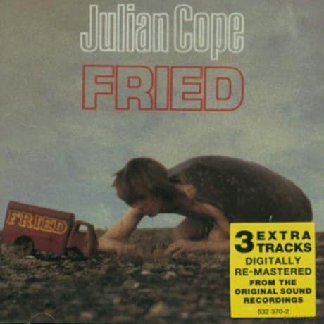 Julian Cope: Fried