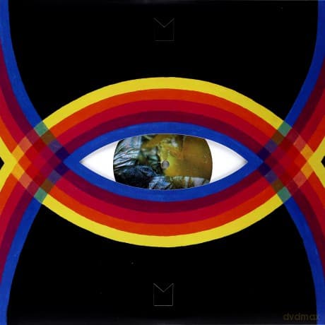 Modest Mouse: Night On The Sun