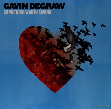Gavin DeGraw: Something Worth Saving