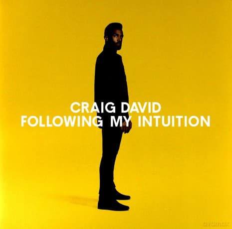 Craig David: Following My Intuition