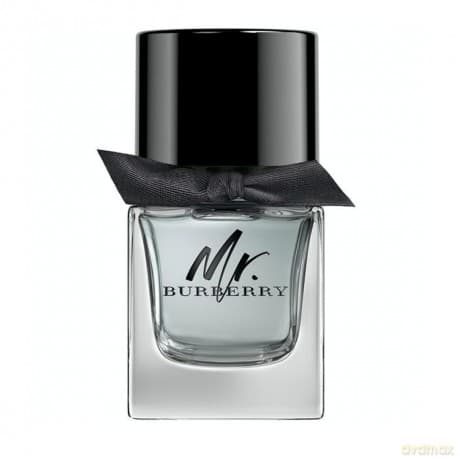 Burberry Mr. Burberry woda toaletowa 50 ml spray
