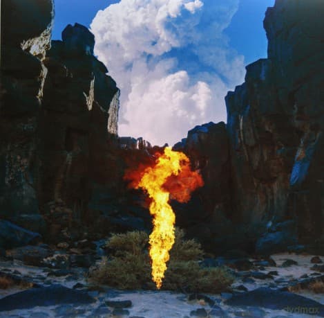 Bonobo: Migration (Limited Edition)