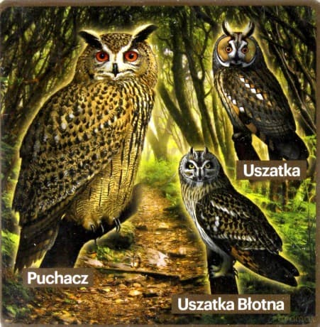 Podkładki pod kubek z sowami, zestaw 2 szt