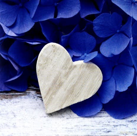 Love Cards Bliss (Together)