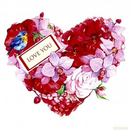 Love Cards Bliss (Felicity)