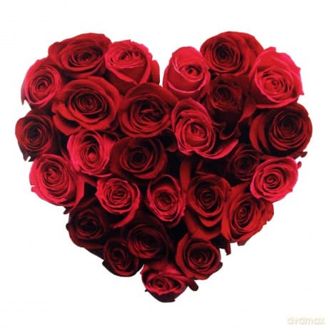 Love Cards Bliss (Safety)