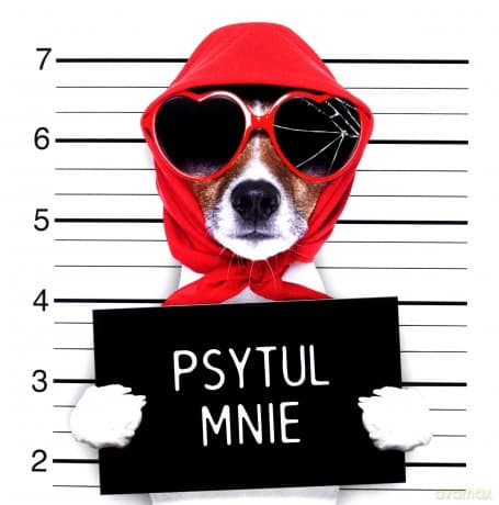 Muzyczne pocztówki (Zabawa)