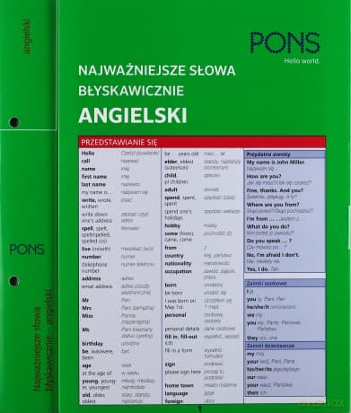 Najważniejsze słowa błyskawicznie. Angielski