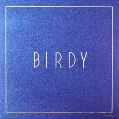 Birdy: Lost It All (Single)