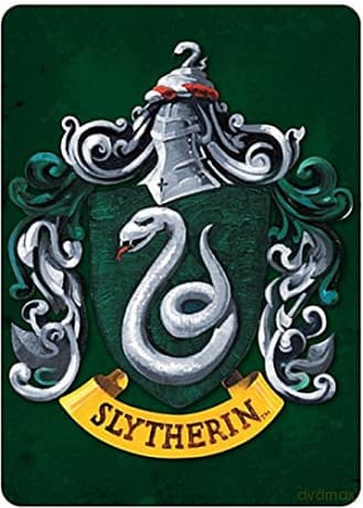 Harry Potter: Slytherin Magnes