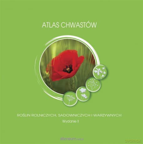 Atlas chwastów roślin rolniczych,sadowniczych - Adam Paradowski