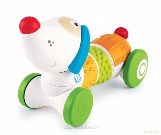 Sensoryczny pies sterowany smartfonem