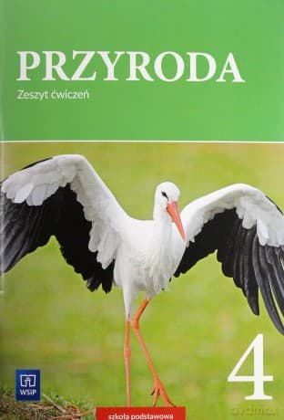 Przyroda Szkoła podstawowa 4 ćwiczenie