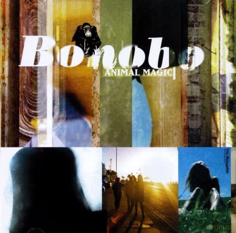 Bonobo: Animal Magic