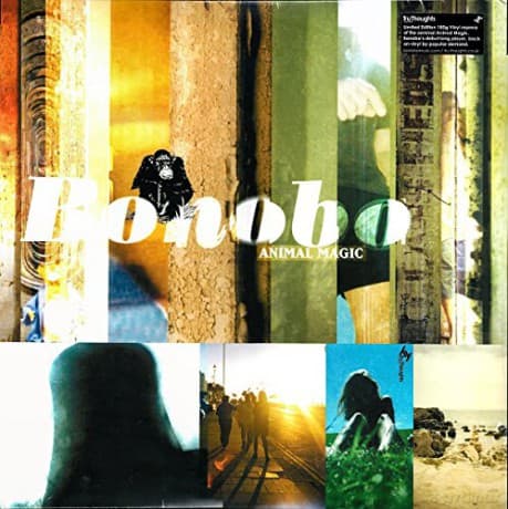Bonobo: Animal Magic