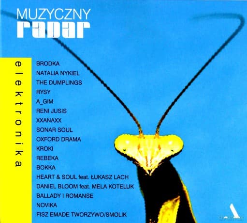 Muzyczny radar: Elektronika