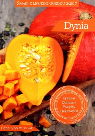 Smaki z mojego ogrodu 2/2017. Dynia