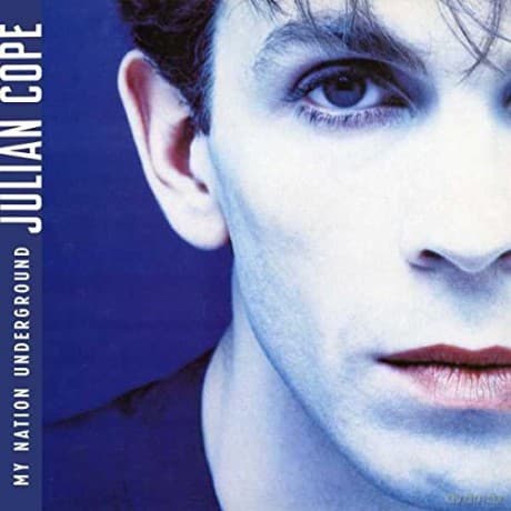 Julian Cope: My Nation Underground