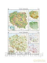 Mapa - Polska. Gospodarka - Przemysł i usługi