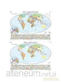 Mapa - Świat. Polityczna / Konturowa