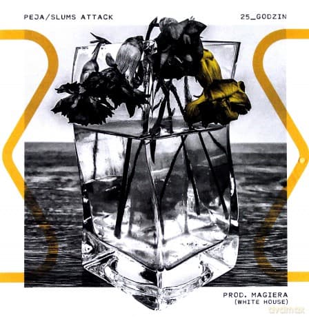 Peja / Slums Attack: 25 godzin (prod. Magiera) (White House)