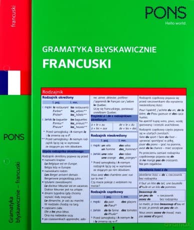 Gramatyka błyskawicznie. Francuski