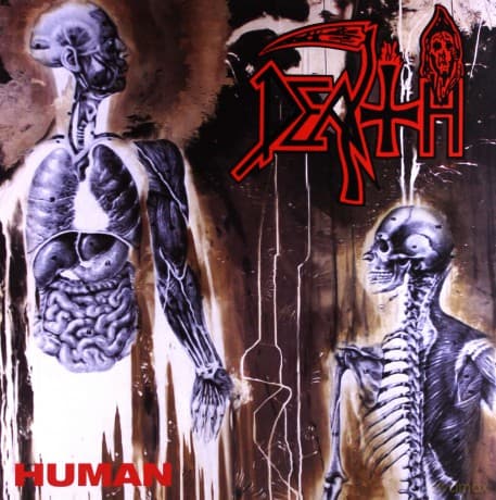 Death: Human (Limited)
