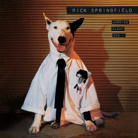 Rick Springfield: Working Class Dog