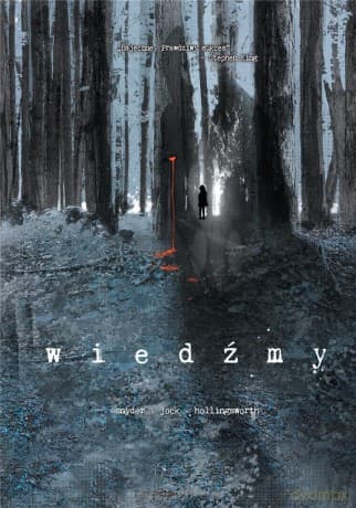 Wiedźmy - Scott Snyder