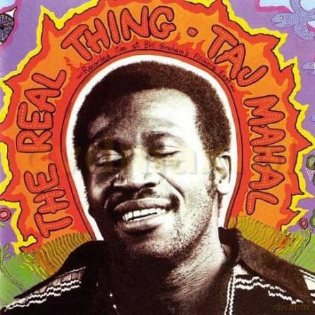 Taj Mahal: The Real Thing