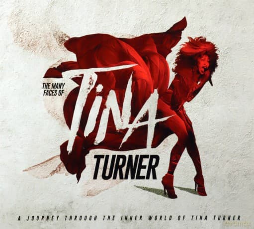 Tina Turner: The Many Faces Of Tina Turner