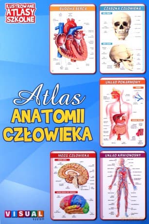Ilustrowany atlas szkolny.Atlas anatomii człowieka