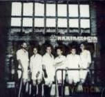 Rammstein: Haifish - Single