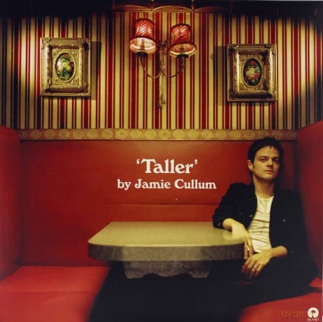 Jamie Cullum: Taller