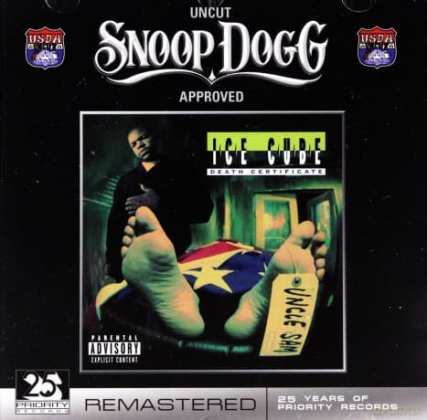 Ice Cube: Death Certificate