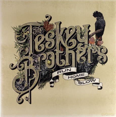 Teskey Brothers: Run Home Slow