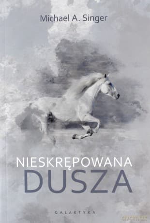 Nieskrępowana dusza - Michael A. Singer