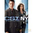 CSI: Kryminalne Zagadki Nowego Jorku Sezon 6