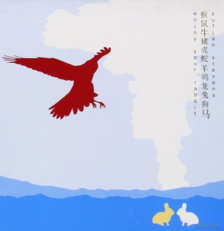 Sufjan Stevens: Enjoy Your Rabbit