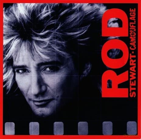 Rod Stewart: Camouflage (Vinyl Replica)
