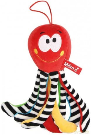 Mini ośmiornica czerwona