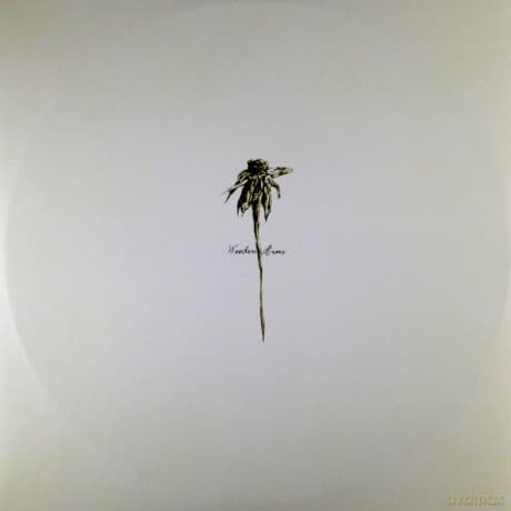 Patrick Watson: Wooden Arms