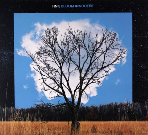 Fink: Bloom Innocent